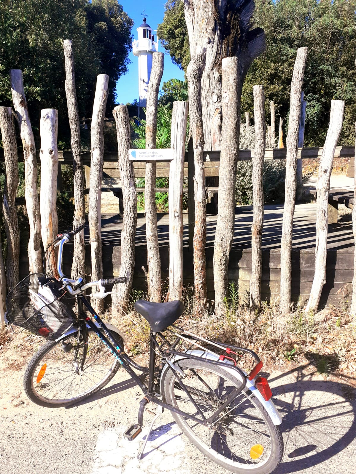Location de vélo La Barre de Monts